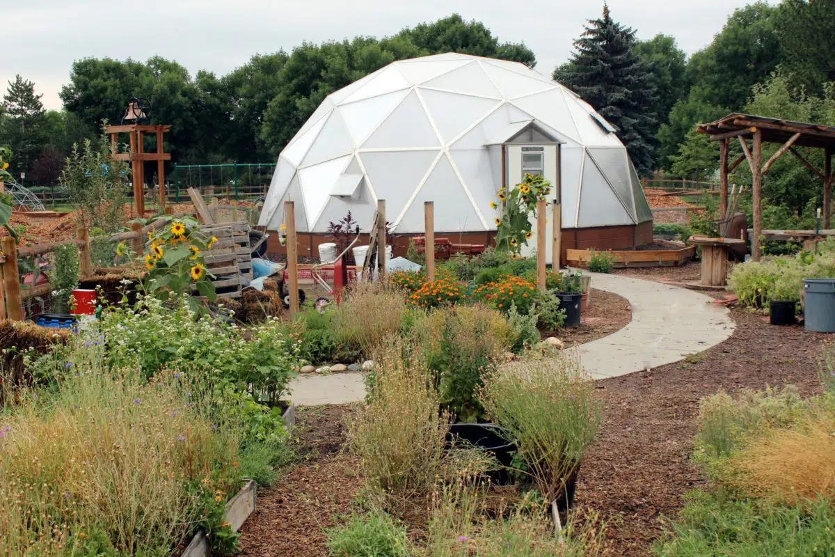 Geodesic dome in the garden