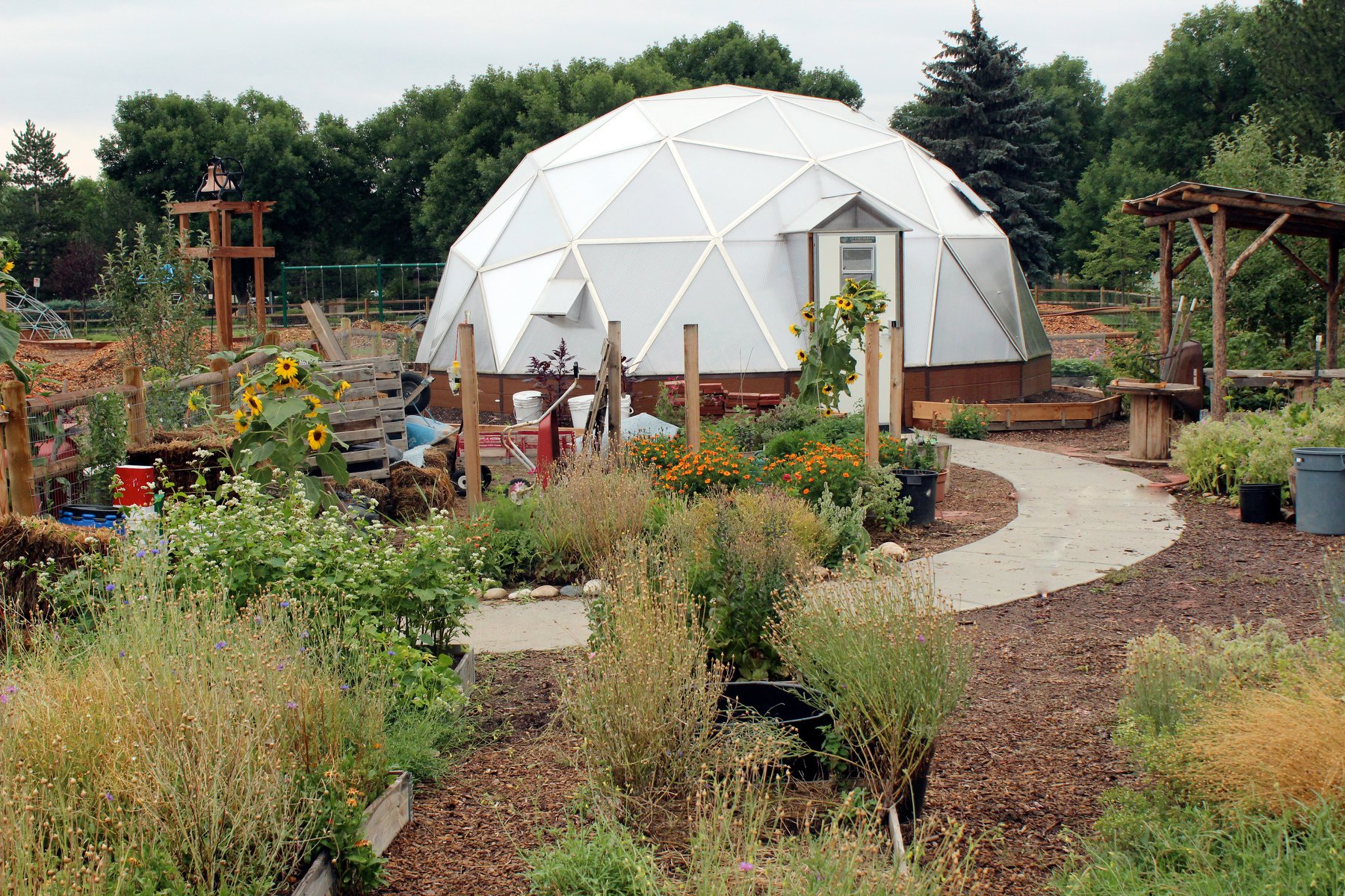 Garden 2 Geodesic dome in the garden