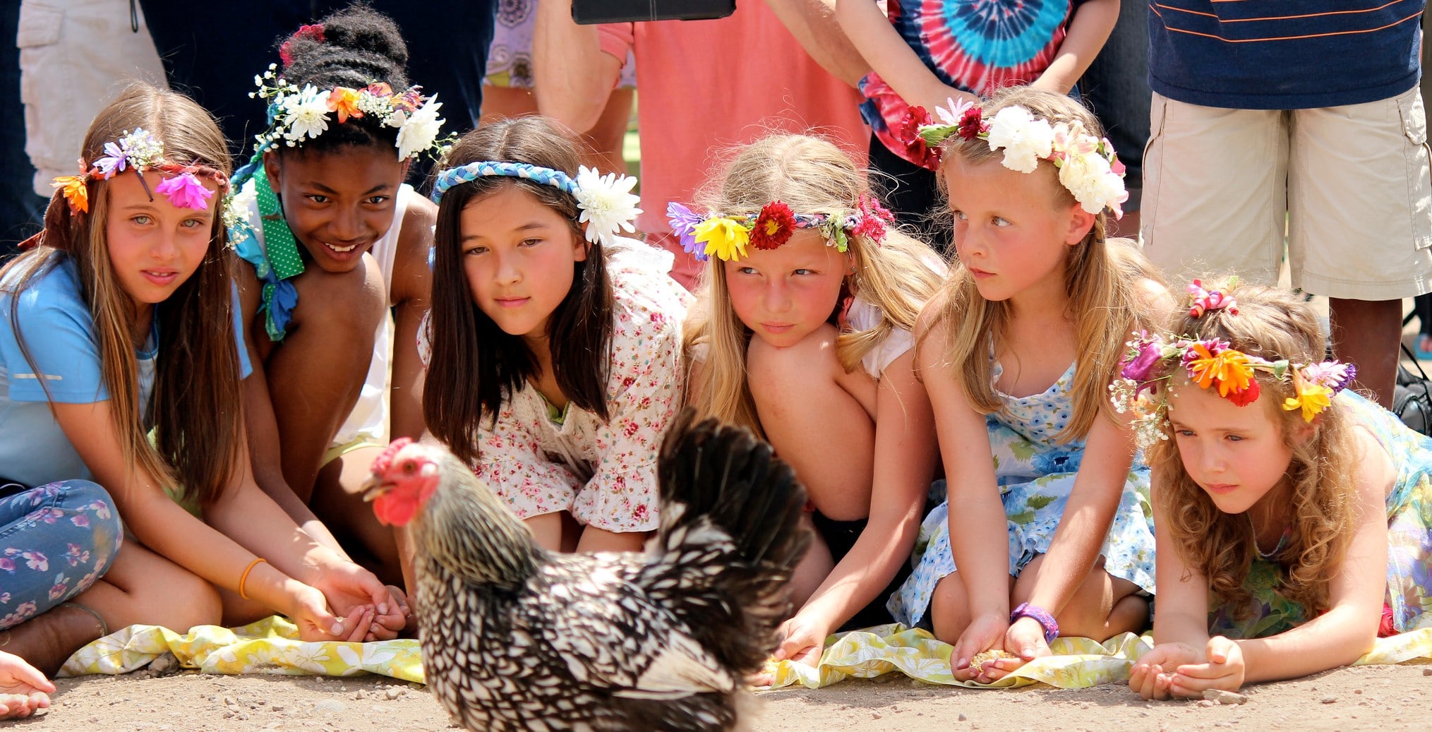 May Faire with Chicken- long